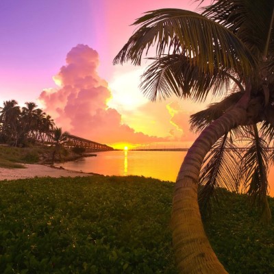 1920 x 1080 HD Wallpapers 2769